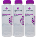 SpaGuard pH Increaser