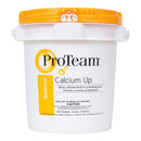 ProTeam Calcium Up