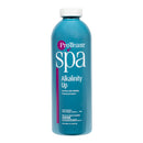 ProTeam Spa Alkalinity Up