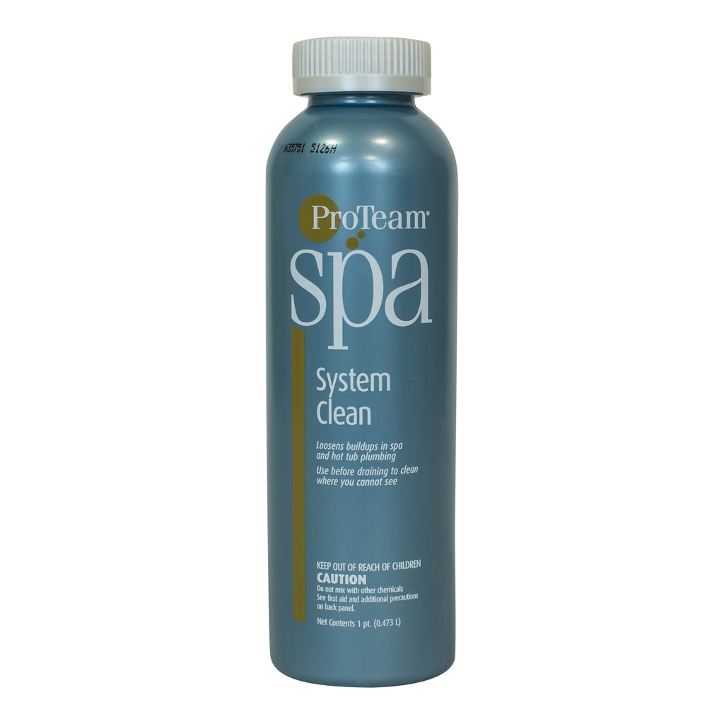 ProTeam Spa System Clean Pool Geek