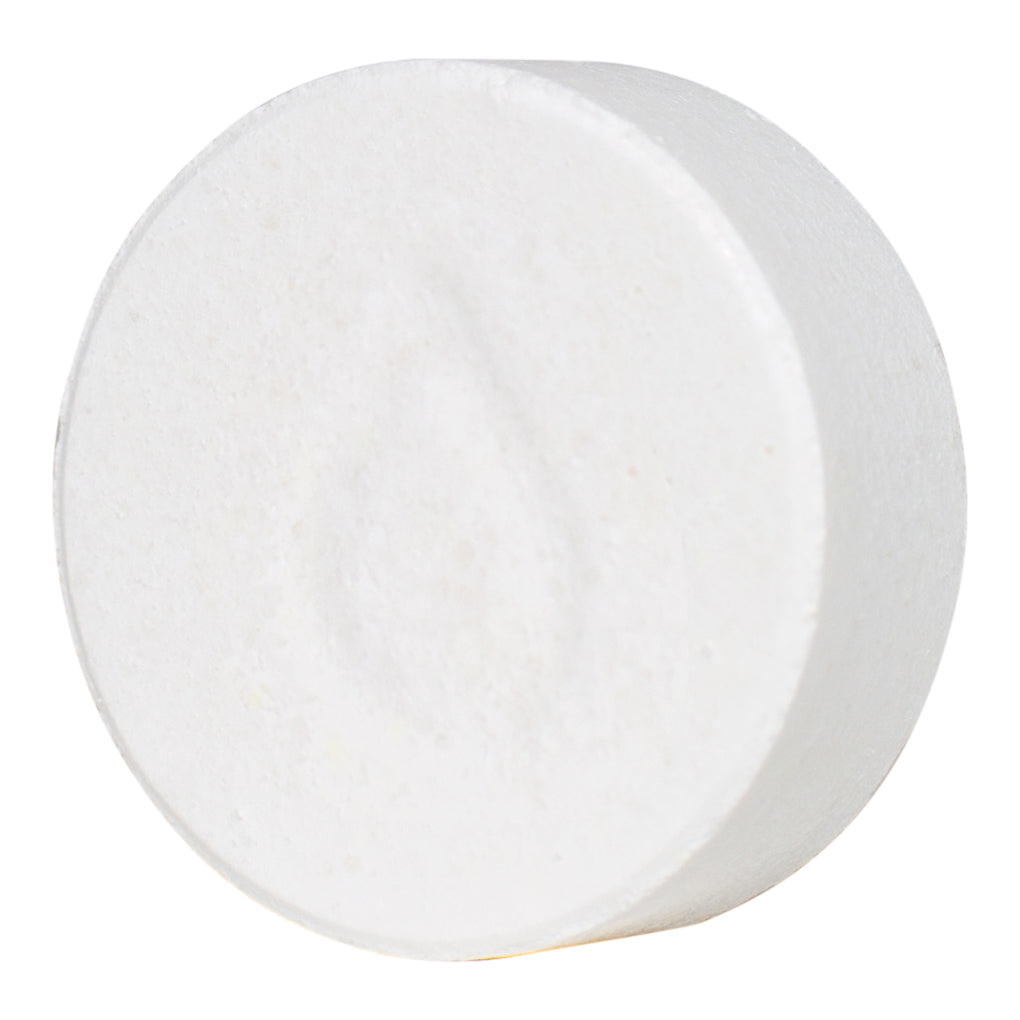Pleatco PWASHPOOLPAK Filter Wash Tablets Pool Geek