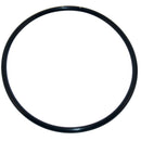 Hayward CLX200K - Viton Cover O-Ring