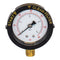Pentair 190058Z - Pressure Gauge