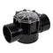Pentair 263042 - 2 In CPVC Check Valve