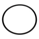 Pentair 350013Z - Lid O-Ring