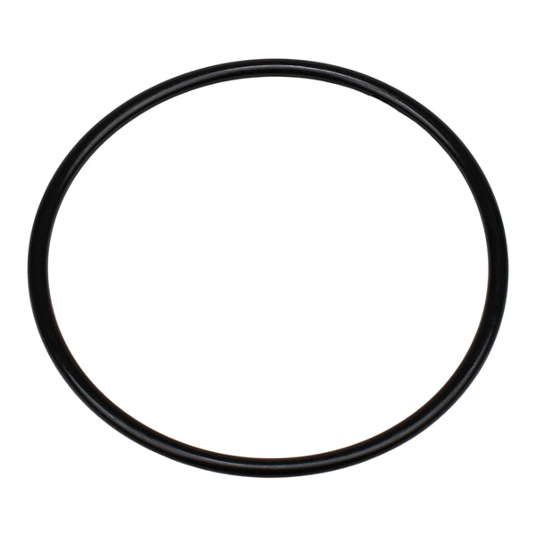 Pentair 350013Z - Lid O-Ring