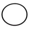 Pentair 350013Z - Lid O-Ring