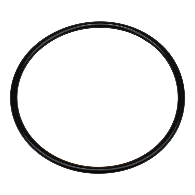 Pentair 350013Z - Lid O-Ring