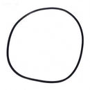 Pentair 39010200Z - Tank Clamp O-Ring