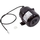 Air Supply 3910131 – Pool and Spa Blower Motor
