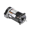 Century HST110 - Pool and Spa Pump Motor