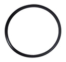 Zodiac R0623300 – Leaf Catcher Seal O-Ring