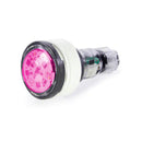 Pentair 620426 - MicroBrite LED Pool Light