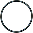 Aladdin O-24 – Filter O-Ring