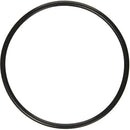 Pentair 272541Z - Valve Body O-Ring