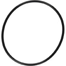 Pentair 357255Z - SuperFlo Strainer O-Ring