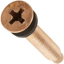Pentair 79104800Z - Pilot Screw with Captive Gum Washer