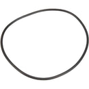 Pentair U9-228AZ - Seal Plate O-Ring