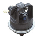 Pentair 42001-0060S - Water Pressure Switch