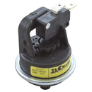 Pentair 42001-0060S - Water Pressure Switch