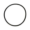 Pentair R172009Z - Rainbow Cap O-Ring