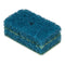Purity Pool Tile Scrubber With 5 ft Pole