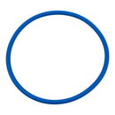 Pentair U9-229Z - O-Ring 5 in.