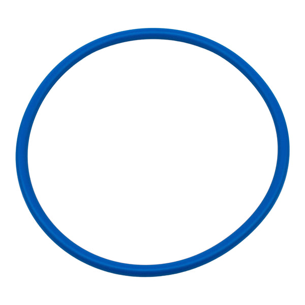 Pentair U9-229Z - O-Ring 5 in.