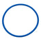 Pentair U9-229Z - O-Ring 5 in.