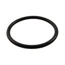 Hayward SPX1022CZ2 - Plug O-Ring