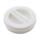 Pentair R22010Z - Flat Plastic Plug