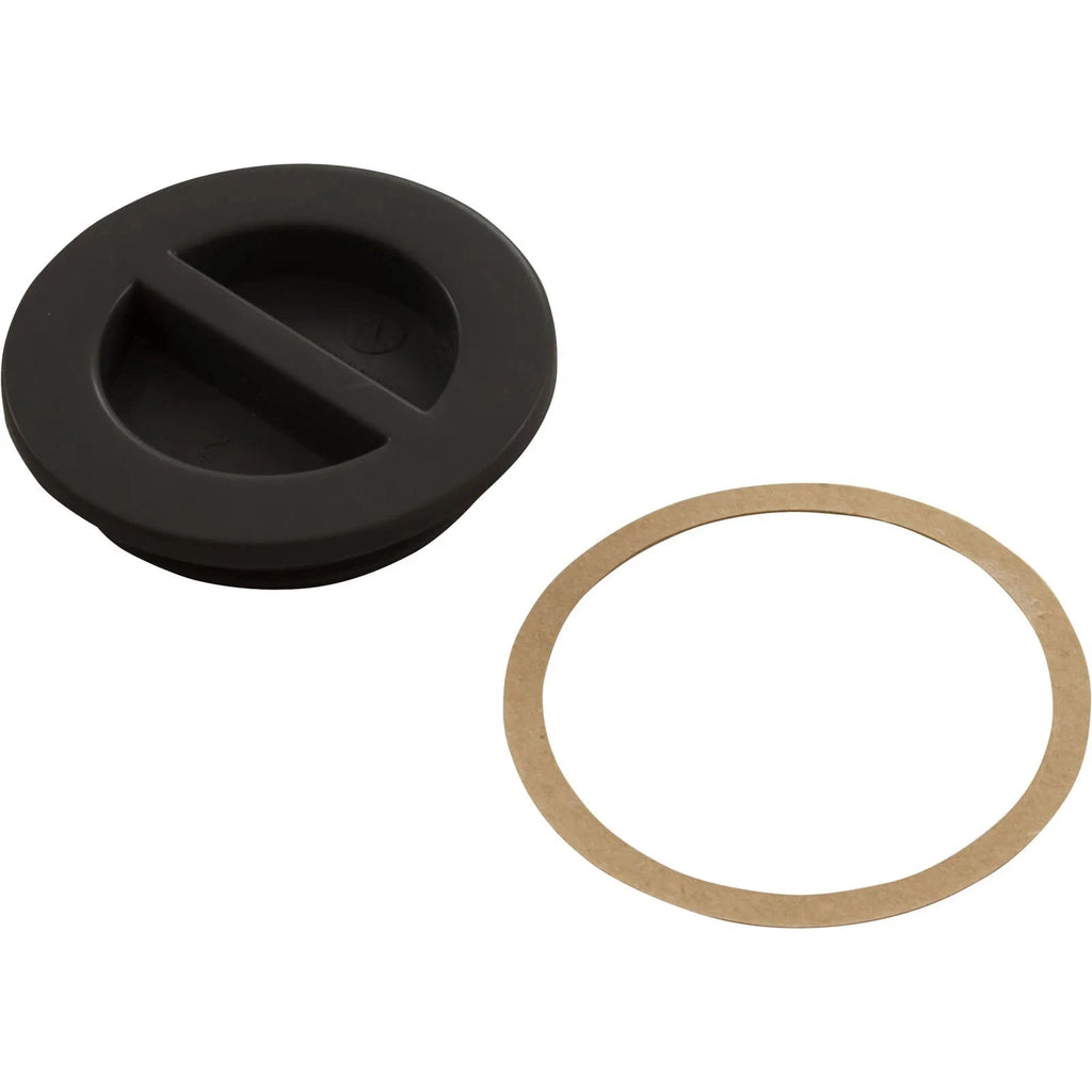 CMP 25542-004-000 - Flat Plug – Pool Geek