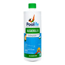 Poolife AlgaeKill II