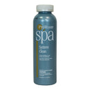 ProTeam Spa System Clean