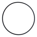 Hayward SPX0710XZ5 - Housing O-Ring