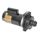 Hayward SPX3215X20Z1PE - 2 HP Standard Efficient Max Rate
