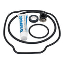 Hayward SPXHKIT100 - H-KIT Quick Fix Pump Repair